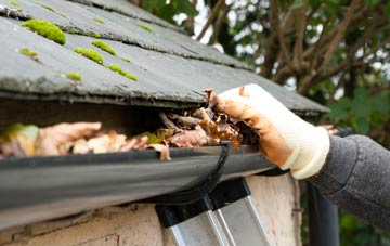 gutter cleaning Norbury