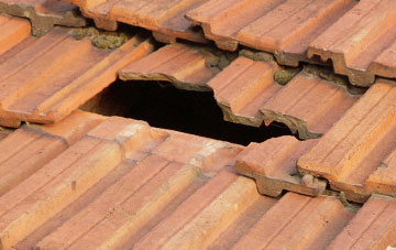 roof repair Norbury