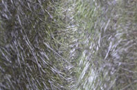 Norbury fibreglass roof work